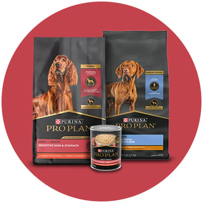 Shop Specialized Purina Pro Plan food for dog