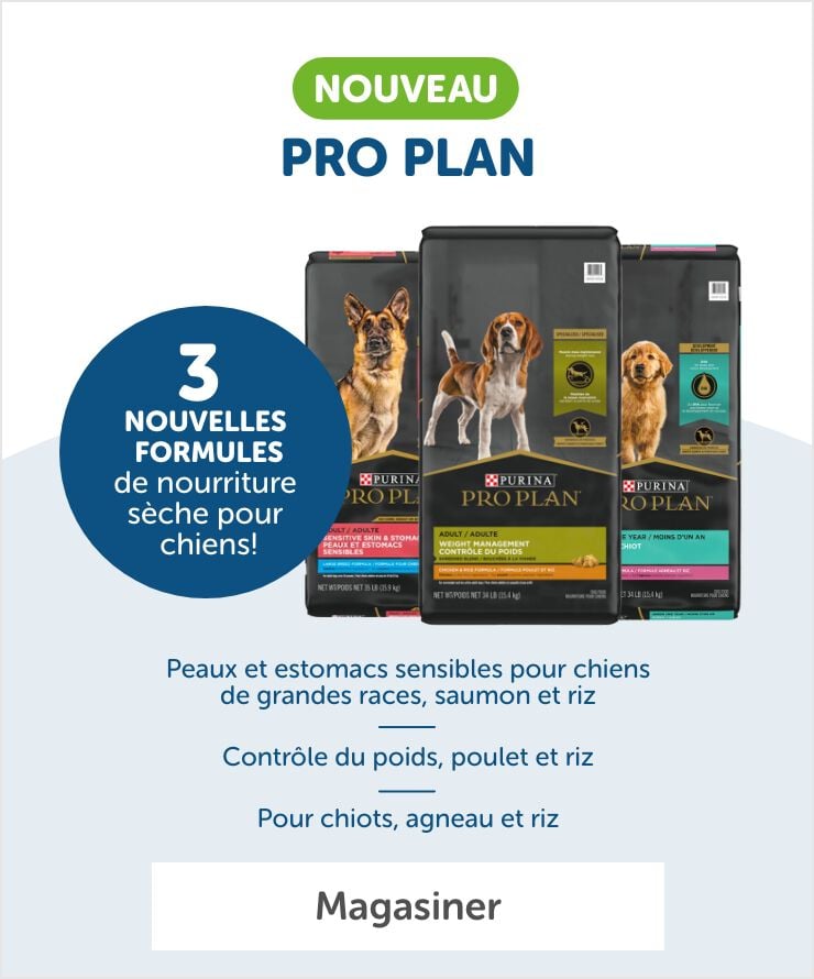 Nouvelles formules de nourriture pour chiens Pro Plan