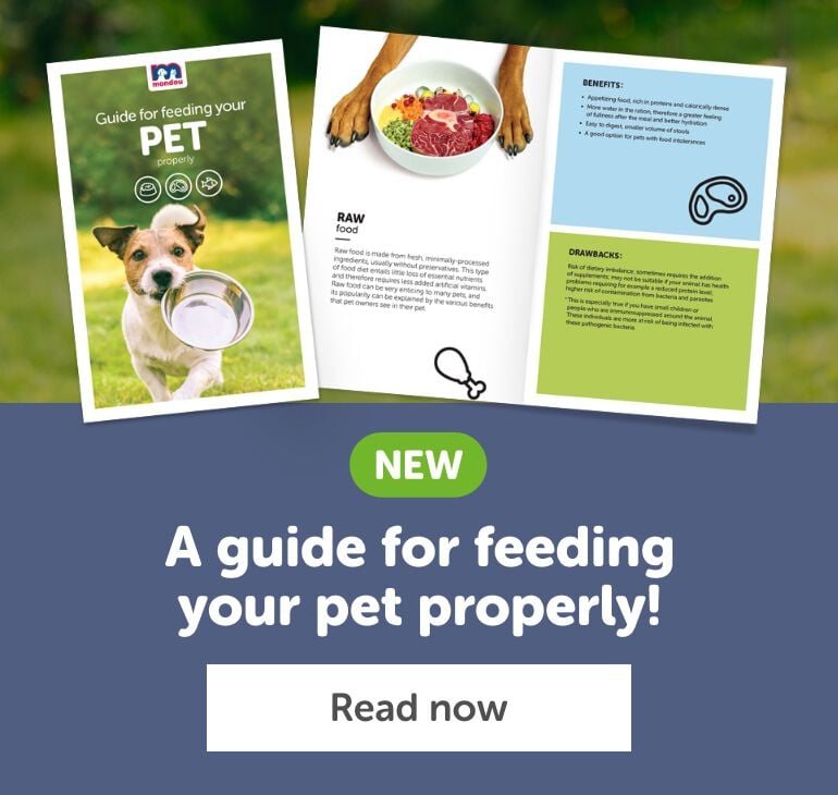 Nutrition month, a guide for feeding your pet properly!" title="Nutrition month, a guide for feeding your pet properly!