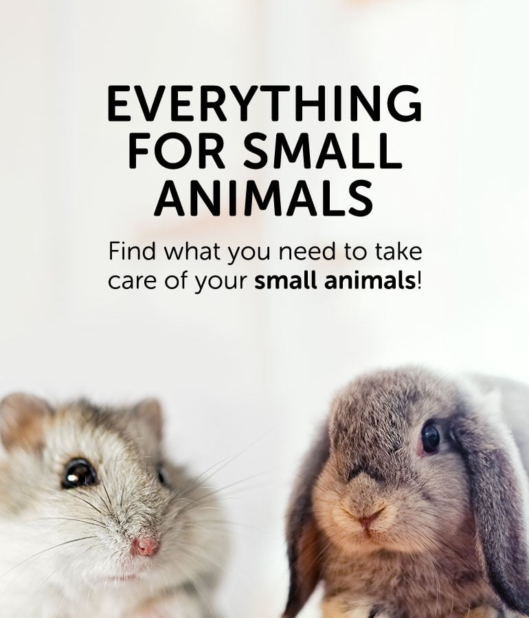 Pet Products for Rodents and Small Animals - Mondou | Mondou