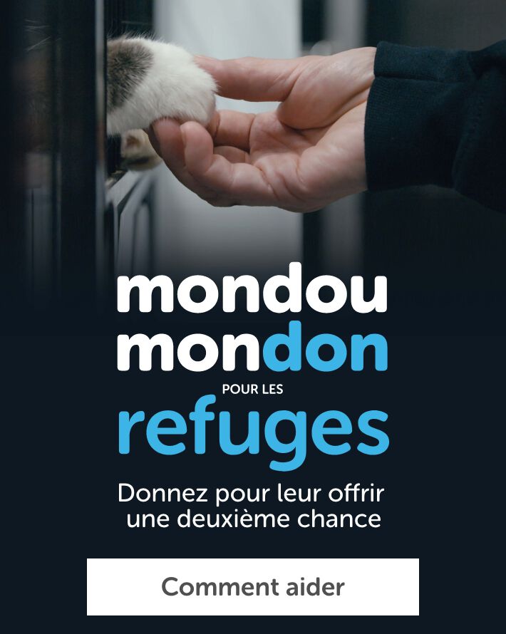 Campagne Mondou Mondon pour les refuges