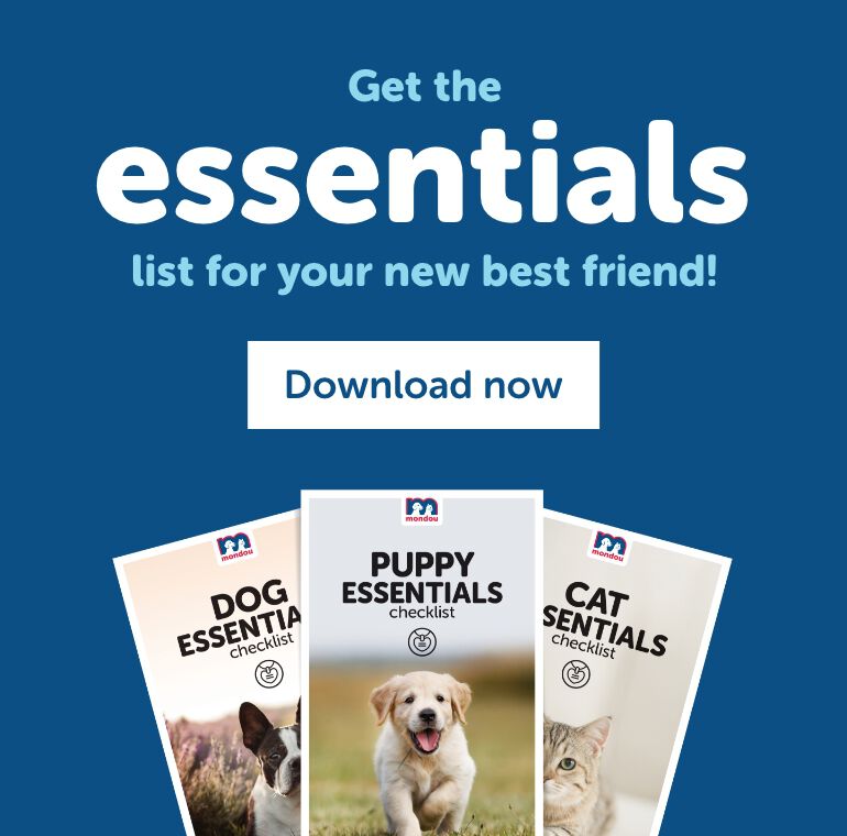 Get the essentials list for your new best friend!