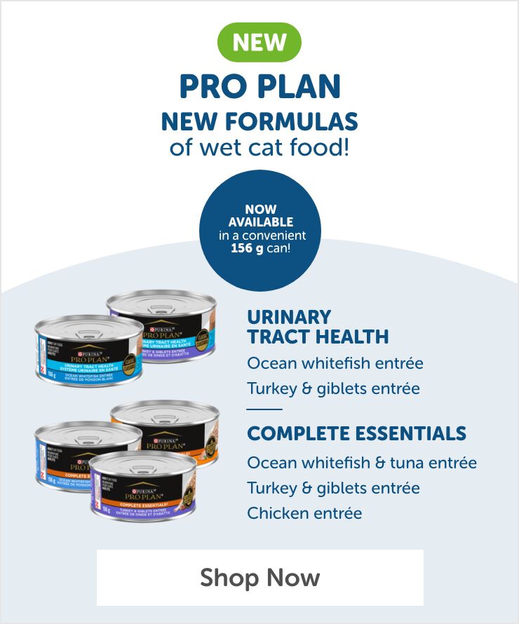 Pro Plan new cat food formulas