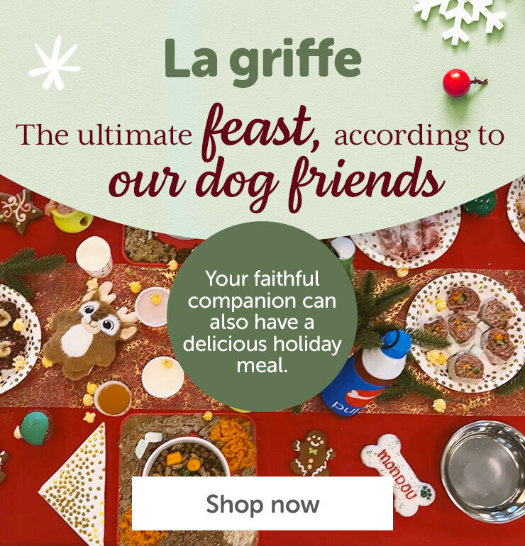Holiday feast for dogs