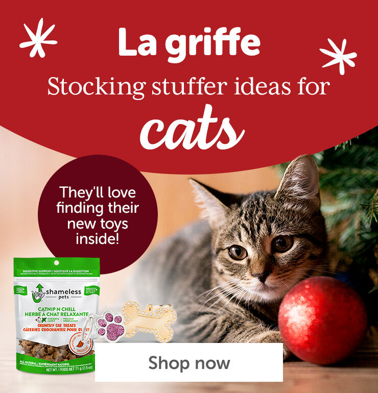 Gift ideas for cats