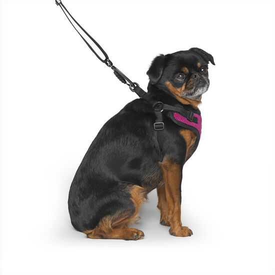 Easy-On Step-In Harness for Dogs Image NaN