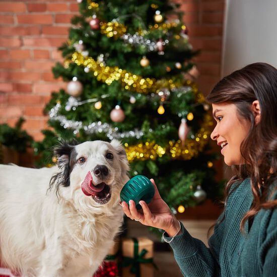 Jouet Pupsicle pour chiens, grand Image NaN