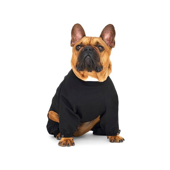 Waterproof Slush Suit for Dogs Image NaN
