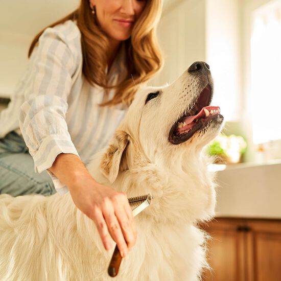 Dematting Comb for Dogs Image NaN