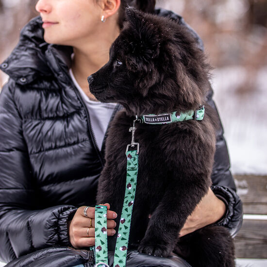 Winter Lodge Adjustable Dog Collar, S Image NaN