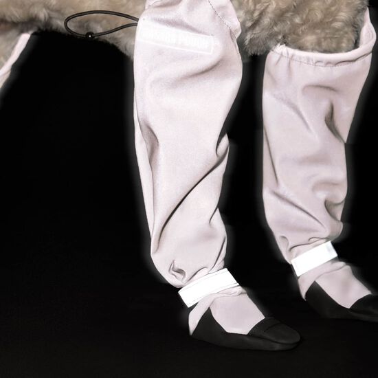Reflective Suspender Boots for Dogs Image NaN