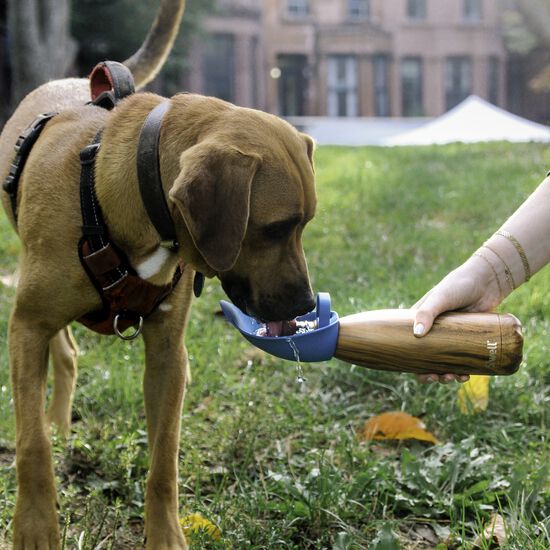 Travel Water Bowl, Blue Image NaN