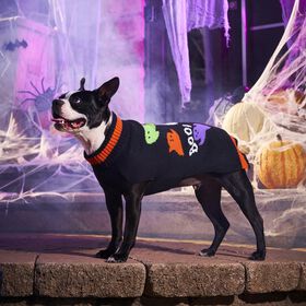 Halloween Sweater for Dogs
