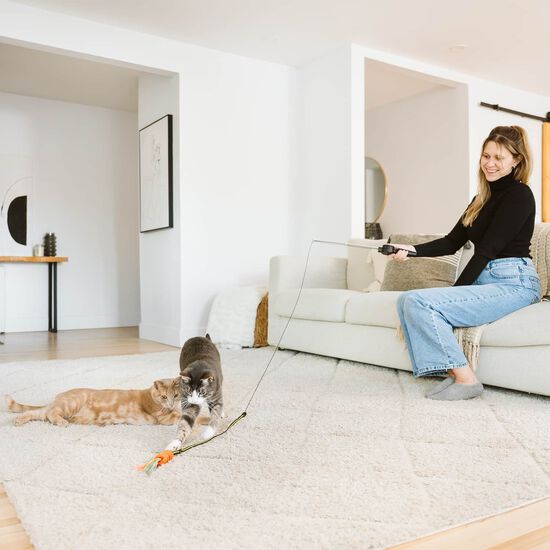 Agace-chat rétractable Image NaN