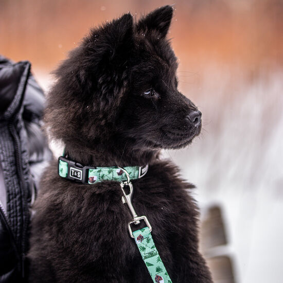 Winter Lodge Adjustable Dog Collar, S Image NaN