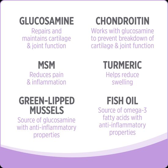 Suppl&eacute;ment hanches et articulations pour chiens,  400 g Image NaN