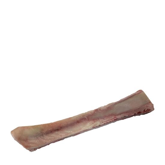 Flat Rib Bone Image NaN