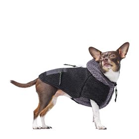 Cool Factor Hoodie for Dogs