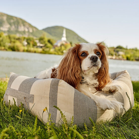Sofa Bed, Nautical Stripes Image NaN