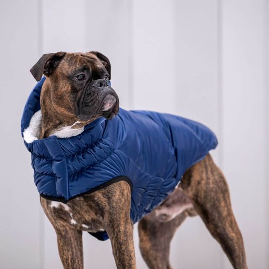 Elasto-Fit® Lunar Glow Parka for Dogs Image NaN
