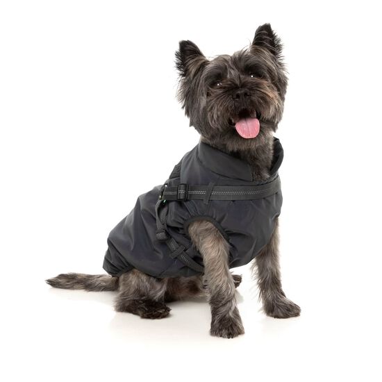 Veste flash r&eacute;fl&eacute;chissante pour chiens Image NaN