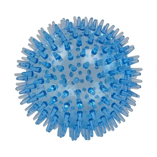 Balle h&eacute;risson pour chiens Image NaN