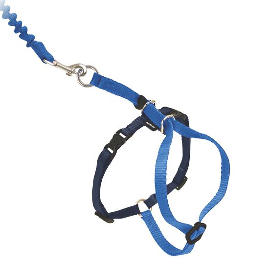 Easy Walk Cat Harness Royal Blue, Medium Image NaN