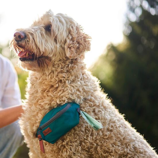 Pet Belt Pouch Image NaN