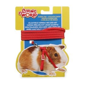 Harness and Lead Set For Guinea Pigs - Red