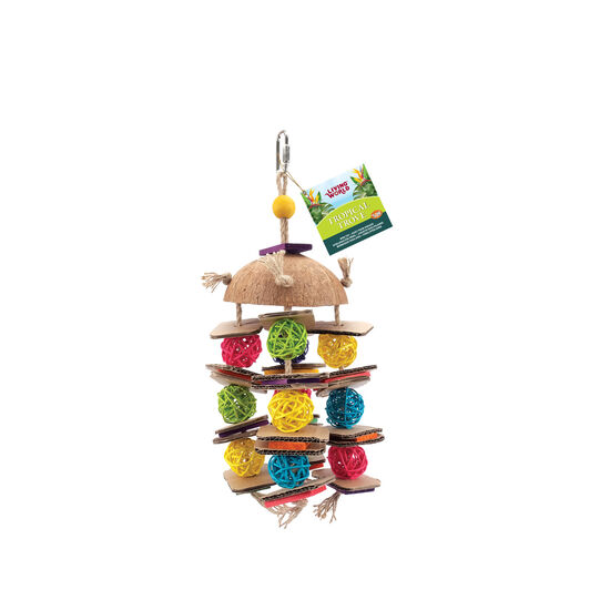 Jouet noix de coco avec balles en osier « Tropical Trove » pour petits et moyens oiseaux domestiques Image NaN