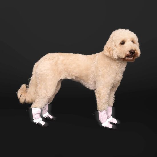 Soft Shield Reflective Dog Boots Image NaN