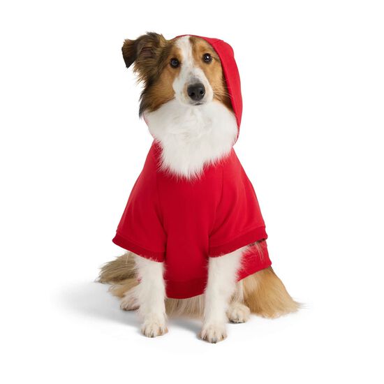 Sweatshirt l&eacute;ger &agrave; capuchon pour chiens Image NaN