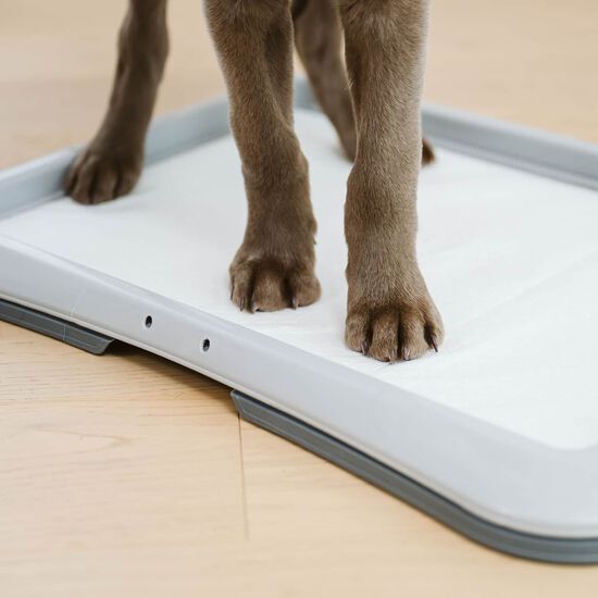 Tapis de propret&eacute; pour chiens et chiots, 10 un Image NaN