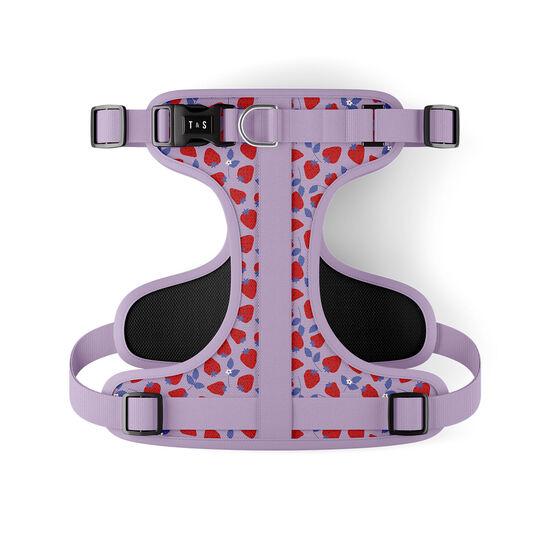 Strawberry Field Adjustable Dog Harness Image NaN
