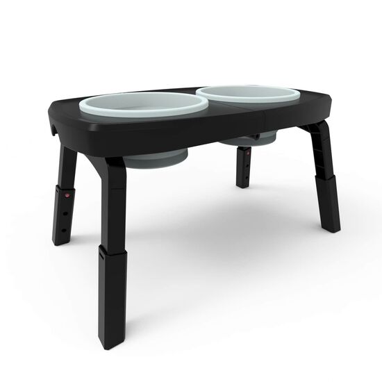 Portable Collapsible Double Feeder for Dogs Image NaN