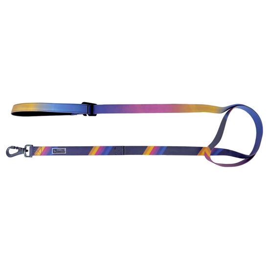 Laisse multifonction en silicone pour chien Image NaN