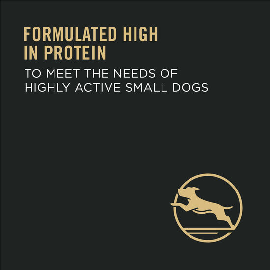 Specialized Small Breed Chicken & Rice Formula Dry Dog Food, 2.72 kg Image NaN
