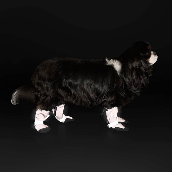 Soft Shield Reflective Dog Boots Image NaN