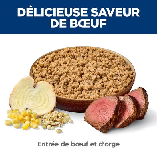 Senior 7+ Beef & Barley Entr&eacute;e Dog Food, 370 g Image NaN