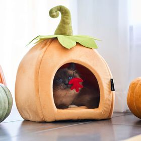 Cachette citrouille pour chats