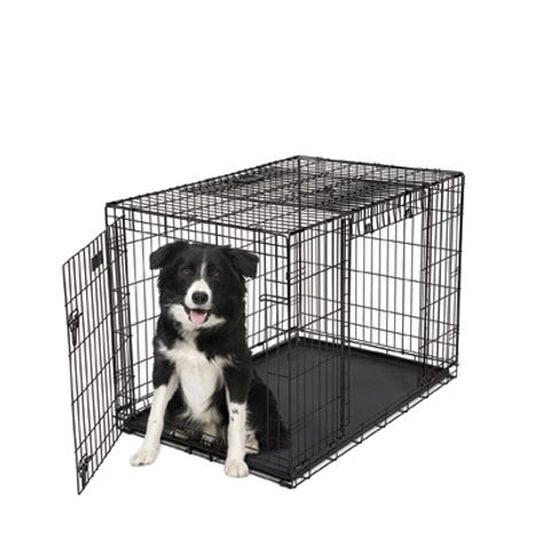 Crate with Two Doors for Dogs Image NaN