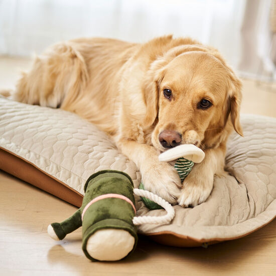 Jouet peluche pour chiens, arrosoir Image NaN