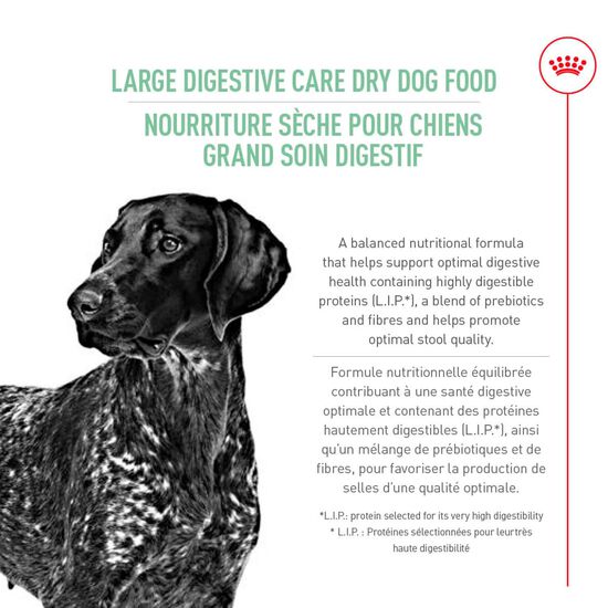 Canine Care Nutrition™ Large Digestive Care Dry Dog Food Image NaN
