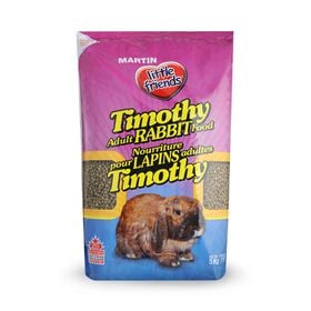 Timothy hay food for adult rabbit