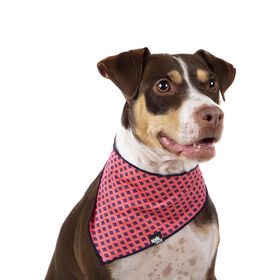 Cotton bandana for dogs and cats