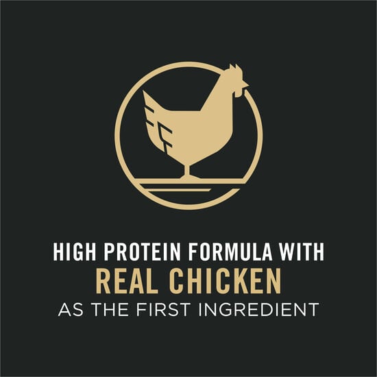 Nourriture sèche formule « Complete Essentials » au poulet et riz pour chats, 1,59 kg Image NaN