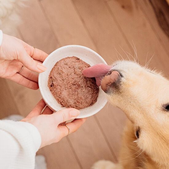 Repas au boeuf et brocoli pour chiens Image NaN