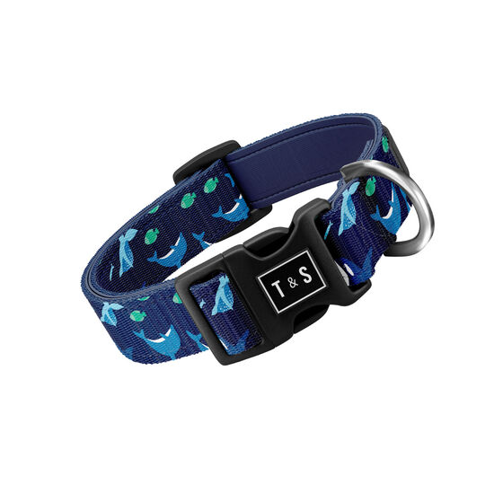 Collier réglable « Meeting maritime » pour chiens Image NaN