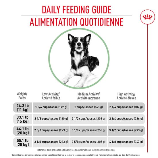 Nourriture formule nutrition soin digestif pour chiens de taille moyenne Image NaN