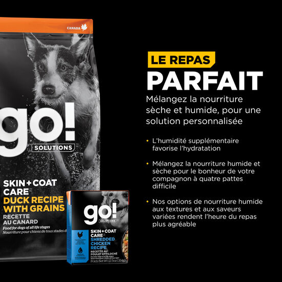 Recette « Skin + Coat Care » au canard avec grains pour chiens, 9,98 kg Image NaN